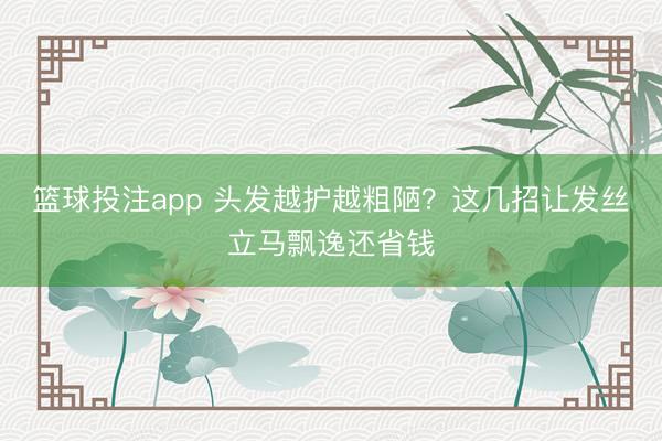 篮球投注app 头发越护越粗陋？这几招让发丝立马飘逸还省钱