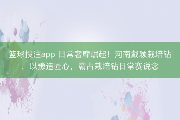 篮球投注app 日常奢靡崛起！河南戴颖栽培钻，以豫造匠心，霸占栽培钻日常赛说念