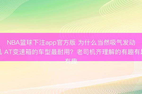 NBA篮球下注app官方版 为什么当然吸气发动机 AT变速箱的车型最耐用？老司机齐理解的有趣有趣
