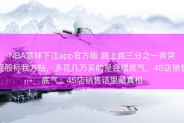 NBA篮球下注app官方版 路上跑三分之一奔突E300L，车屁股标我方贴，多花几万买的是疲塌底气，4S店销售话里藏真相