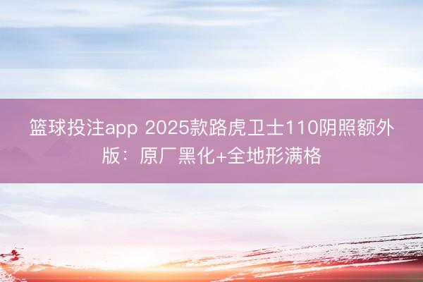 篮球投注app 2025款路虎卫士110阴照额外版：原厂黑化+全地形满格