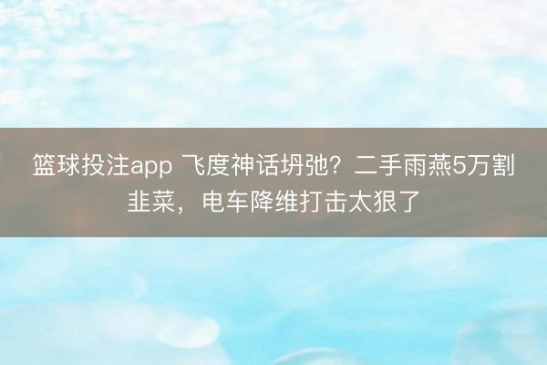 篮球投注app 飞度神话坍弛？二手雨燕5万割韭菜，电车降维打击太狠了