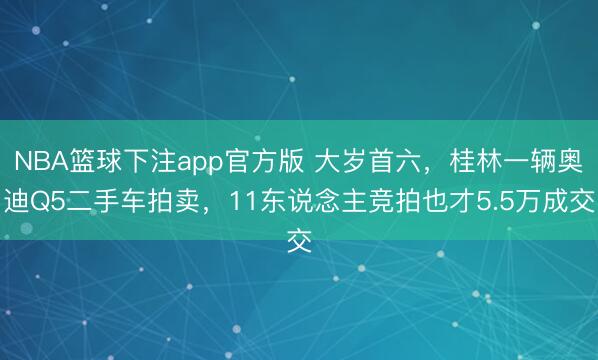 NBA篮球下注app官方版 大岁首六，桂林一辆奥迪Q5二手车拍卖，11东说念主竞拍也才5.5万成交