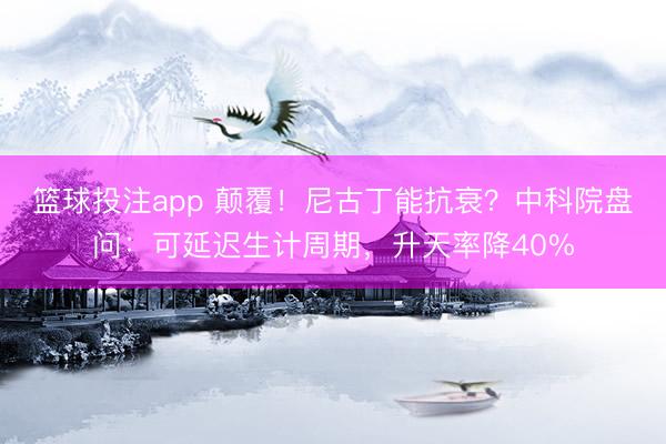 篮球投注app 颠覆！尼古丁能抗衰？中科院盘问：可延迟生计周期，升天率降40%