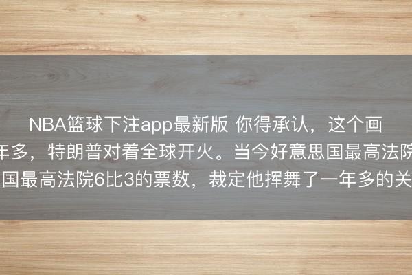 NBA篮球下注app最新版 你得承认，这个画面感太强了。畴昔这一年多，特朗普对着全球开火。当今好意思国最高法院6比3的票数，裁定他挥舞了一年多的关税大棒越权了