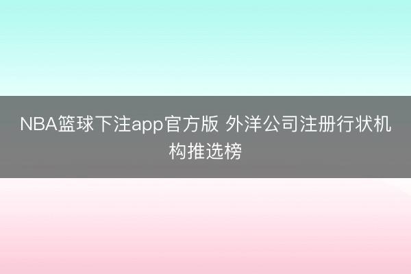NBA篮球下注app官方版 外洋公司注册行状机构推选榜